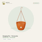 Hanging Pot – Terracotta
