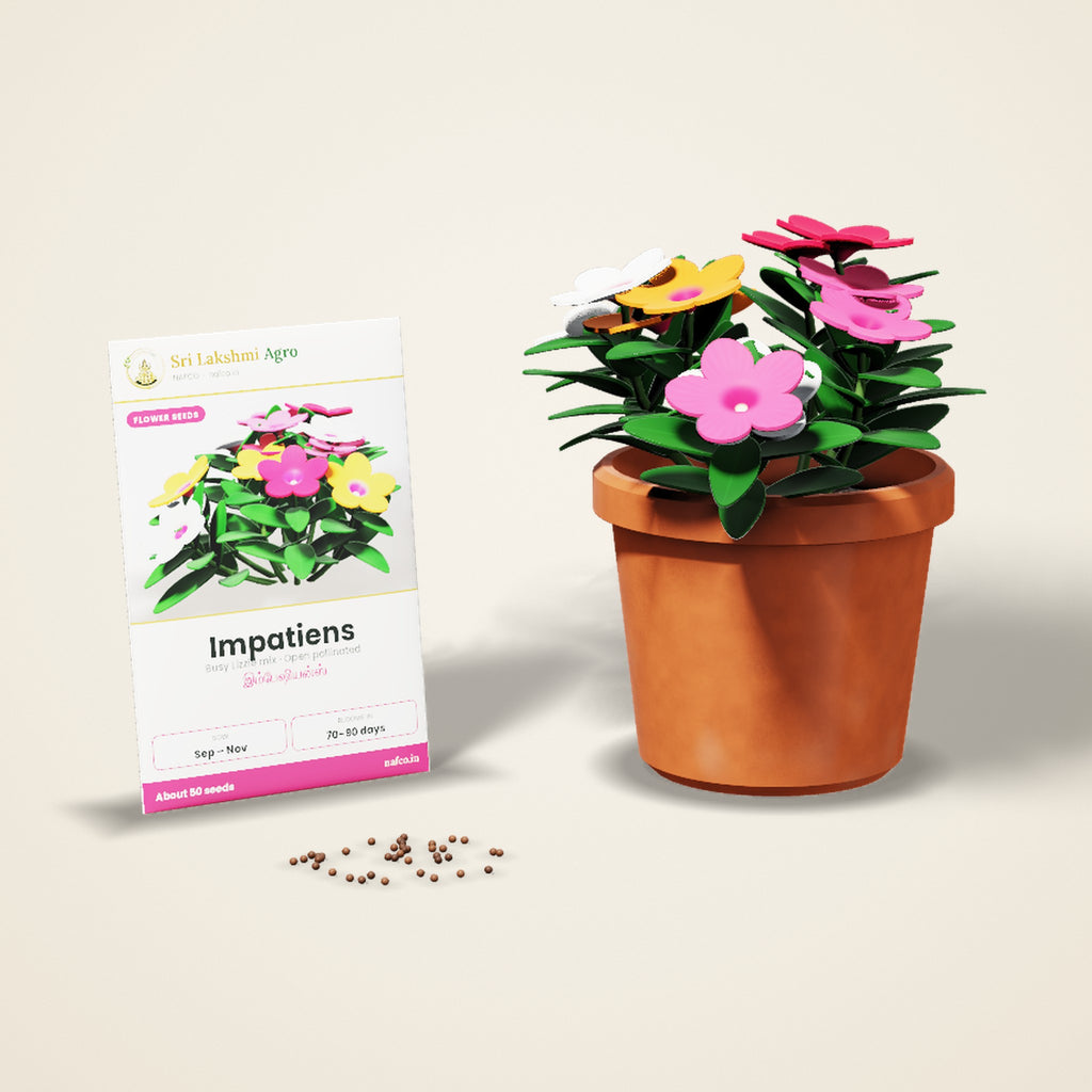 Impatiens Seeds – Mixed Colours