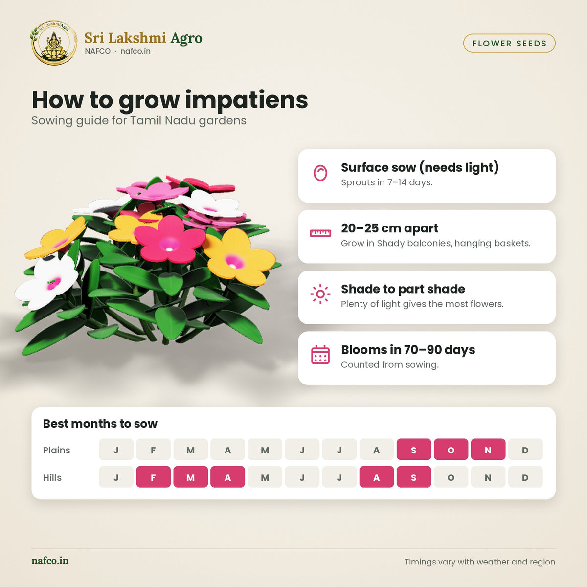 Impatiens Seeds – Mixed Colours – sowing guide