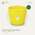 Indoor Pot 6 Inch – Yellow (Classic)