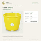 Indoor Pot 6 Inch – Yellow (Classic) – size and details
