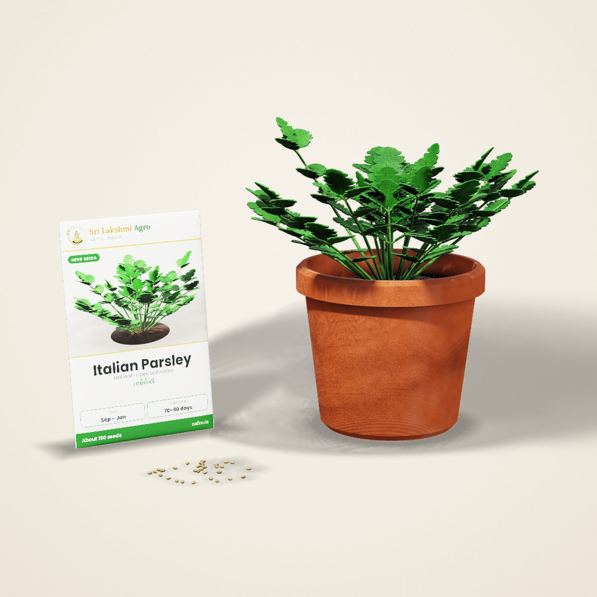 Italian Parsley Seeds – Flat Leaf