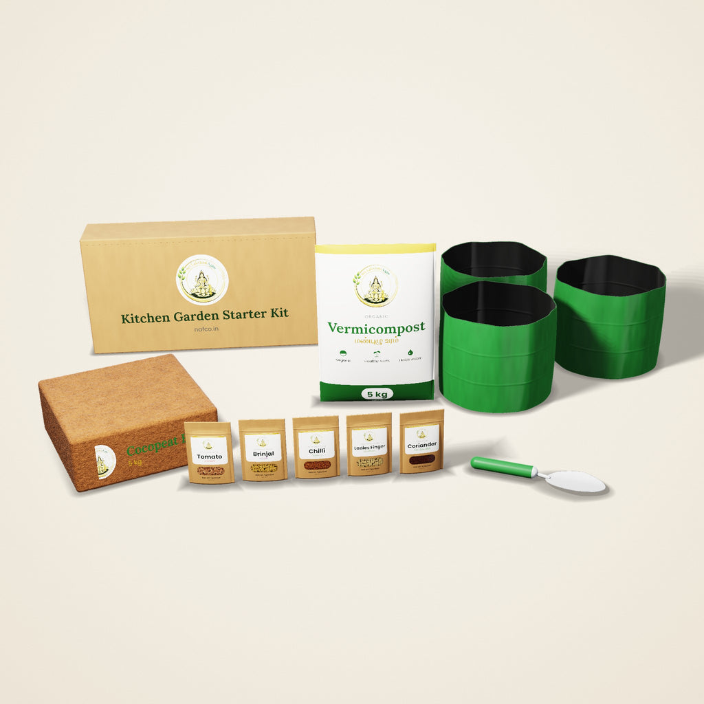 Kitchen Garden Starter Kit