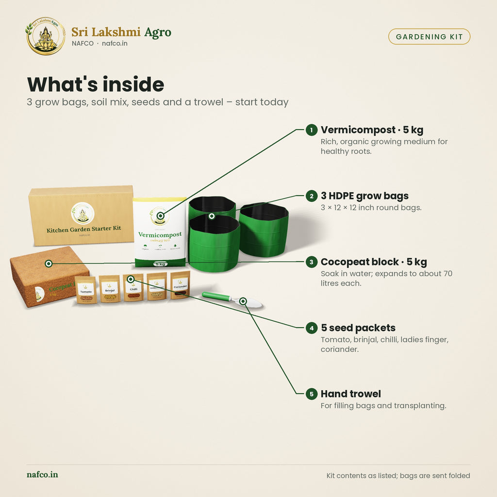 Kitchen Garden Starter Kit – what's inside