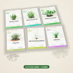Kitchen Herb Seeds Combo – 6 Packets