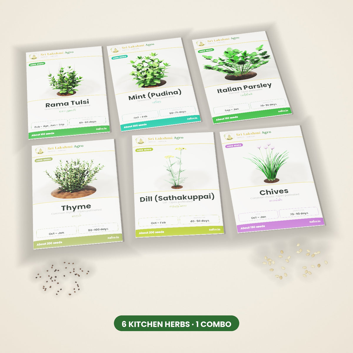 Kitchen Herb Seeds Combo – 6 Packets