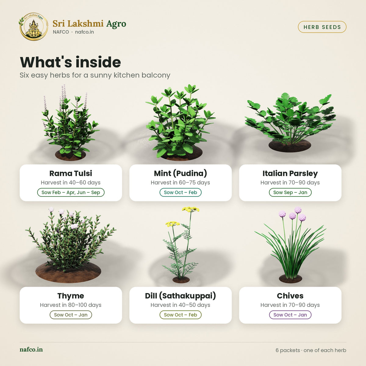 Kitchen Herb Seeds Combo – 6 Packets – what's inside