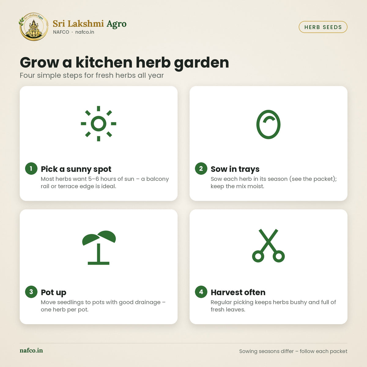 Kitchen Herb Seeds Combo – 6 Packets – how to grow