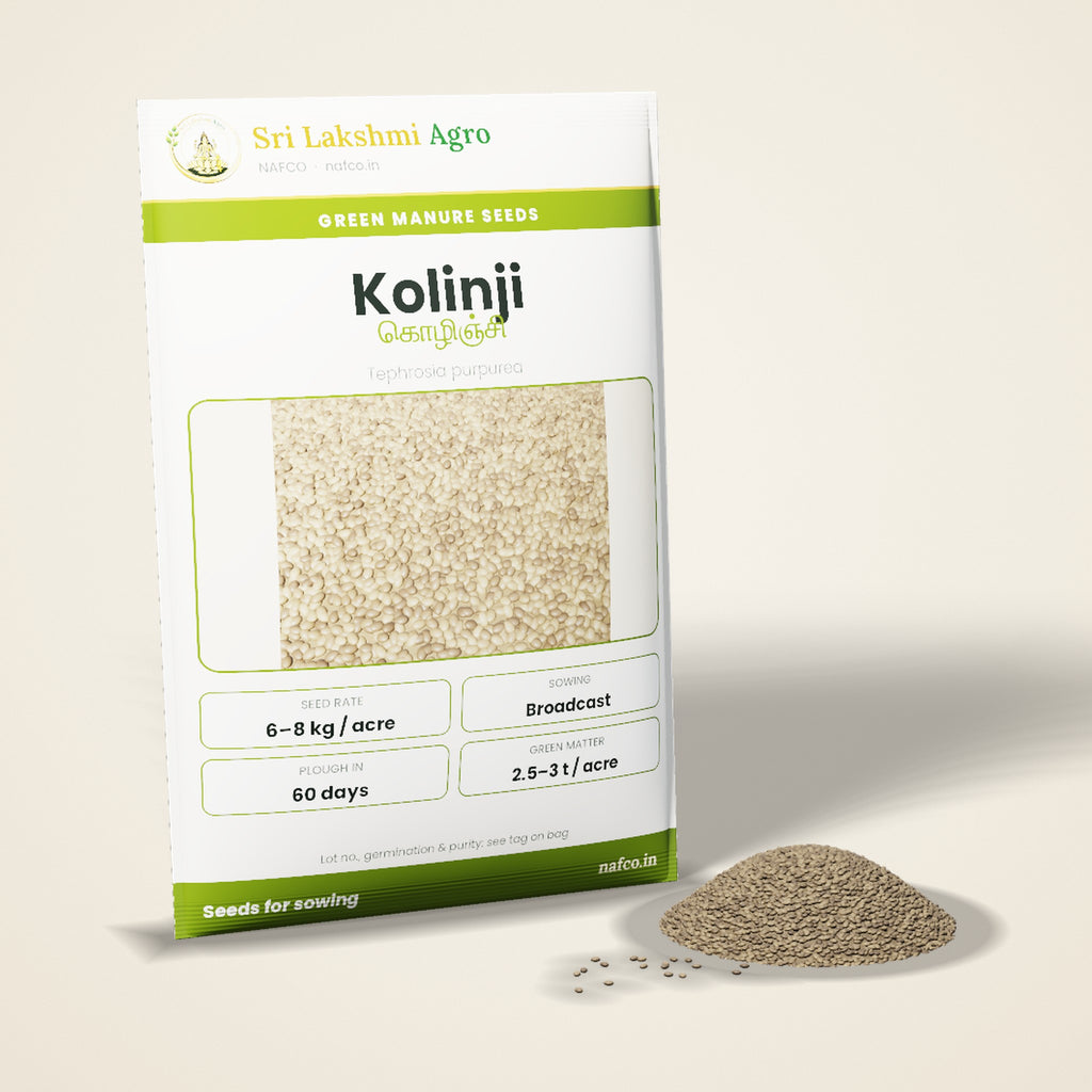 Kolinji (Wild Indigo) Green Manure Seeds