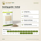 Kolinji (Wild Indigo) Green Manure Seeds – sowing guide