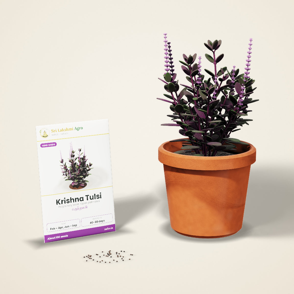 Krishna Tulsi Seeds (Karunthulasi) – Purple Holy Basil