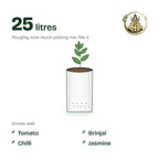 24 × 24 × 40 cm grow bag filled with potting mix and a young plant; holds about 25 litres; suits tomato, brinjal, chilli and jasmine
