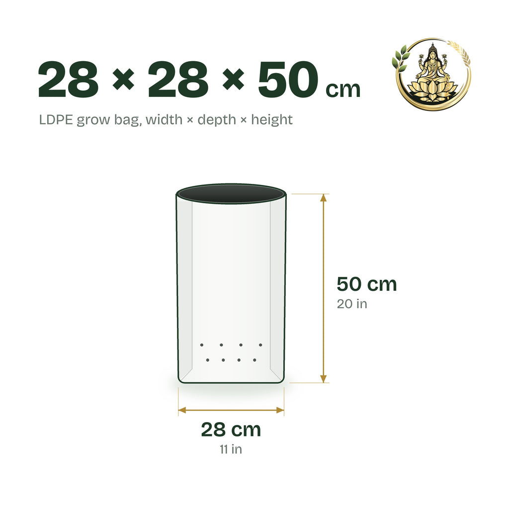 Size guide for the 28 × 28 × 50 cm LDPE grow bag