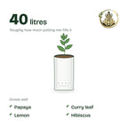 28 × 28 × 50 cm grow bag filled with potting mix and a young plant; holds about 40 litres; suits papaya, curry leaf, lemon and hibiscus