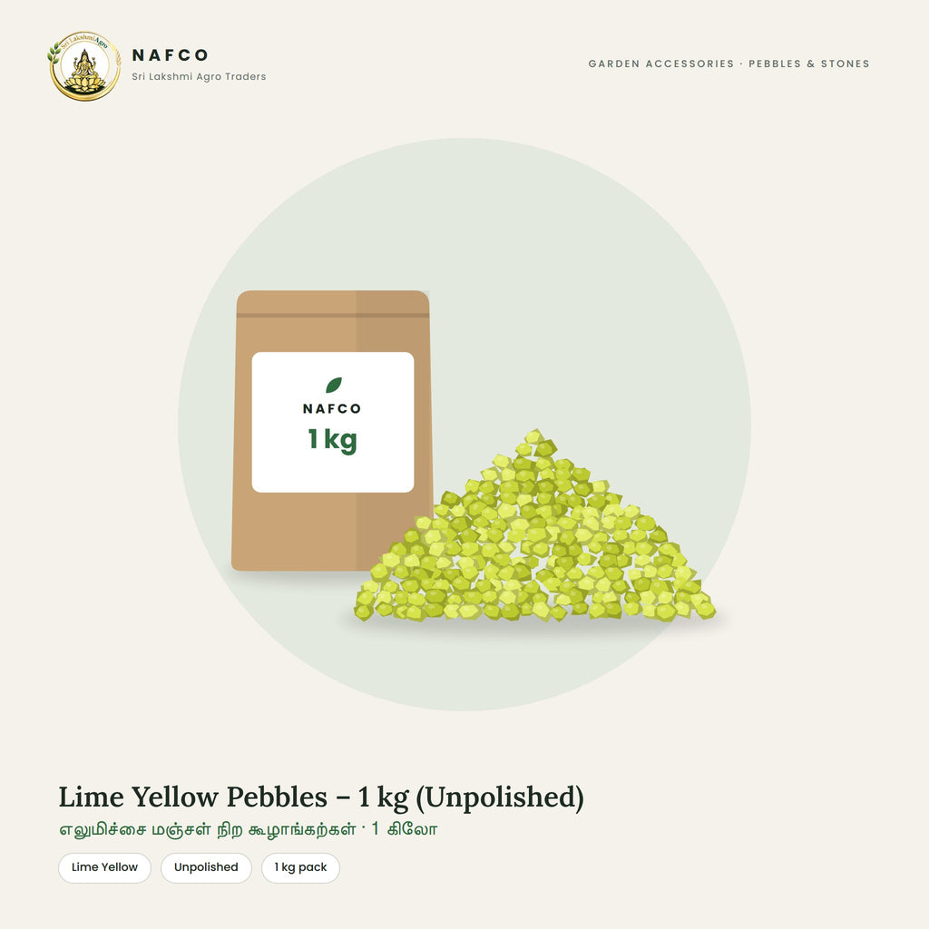 Lime Yellow Pebbles – 1 kg (Unpolished)