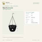 Lotus Hanging Pot – 6 Inch – size and details