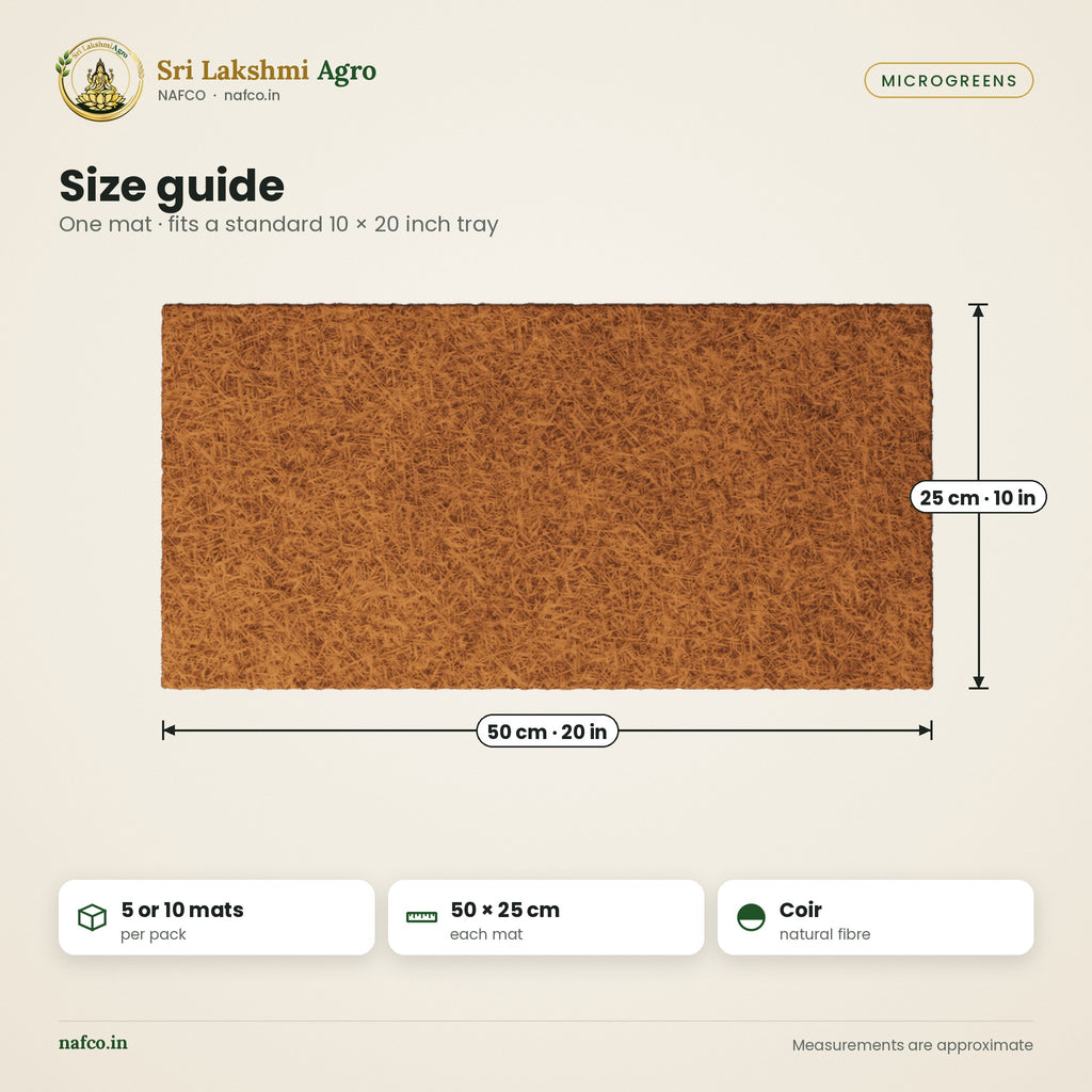 Coir Grow Mat for Microgreens – 10 × 20 inch – size guide