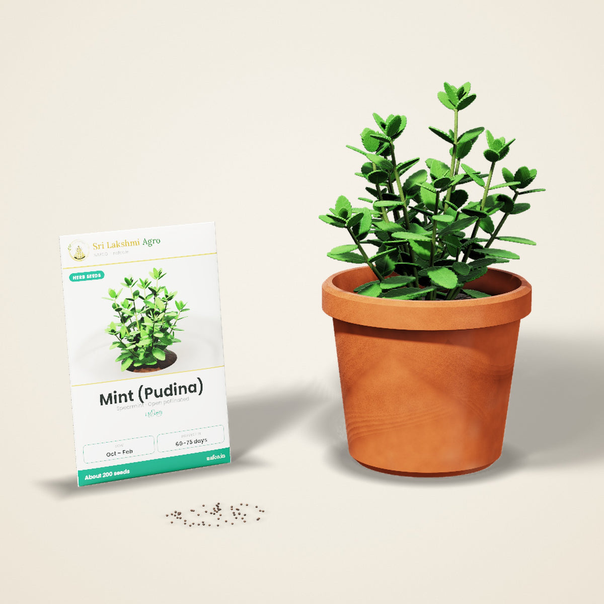 Mint (Pudina) Seeds – Spearmint