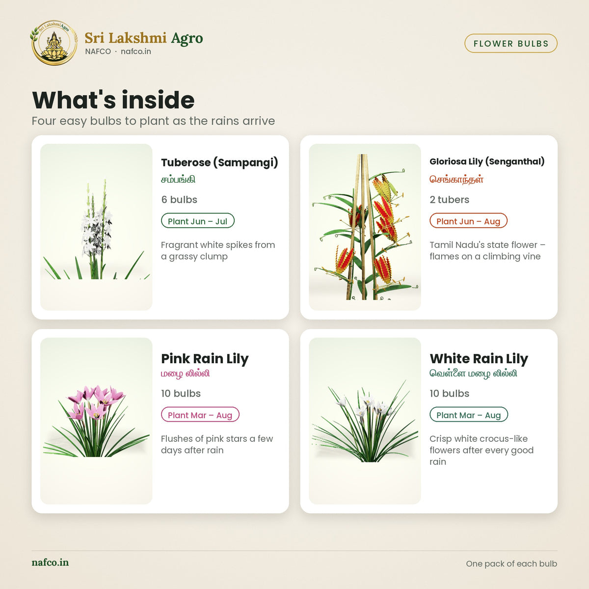 Monsoon Flower Bulbs Combo – Tuberose, Gloriosa & Rain Lilies – what's inside