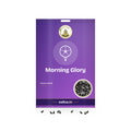 Morning Glory Seeds: Sri Lakshmi Agro seed packet with a window showing the seeds