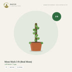 Moss Stick 3 ft (Real Moss)