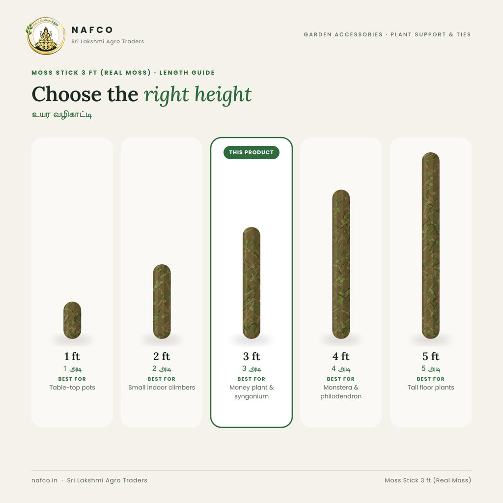 Moss Stick 3 ft (Real Moss) – length guide