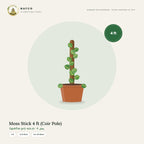 Moss Stick 4 ft (Coir Pole)