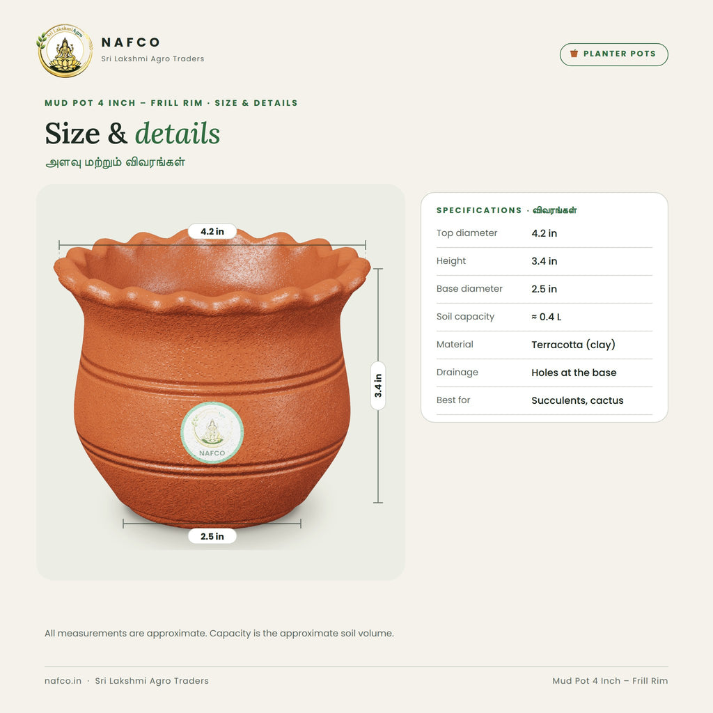Mud Pot 4 Inch – Frill Rim – size and details