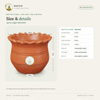 Mud Pot 4 Inch – Frill Rim – size and details