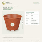 Mud Pot 9 Inch – Cone Shape – size and details