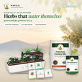 Plug & Play Self-Watering Herb Box – the kit on a terrace