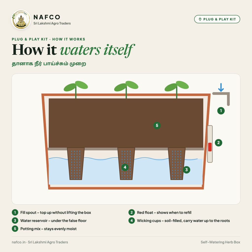 Plug & Play Self-Watering Herb Box – how the self-watering box works