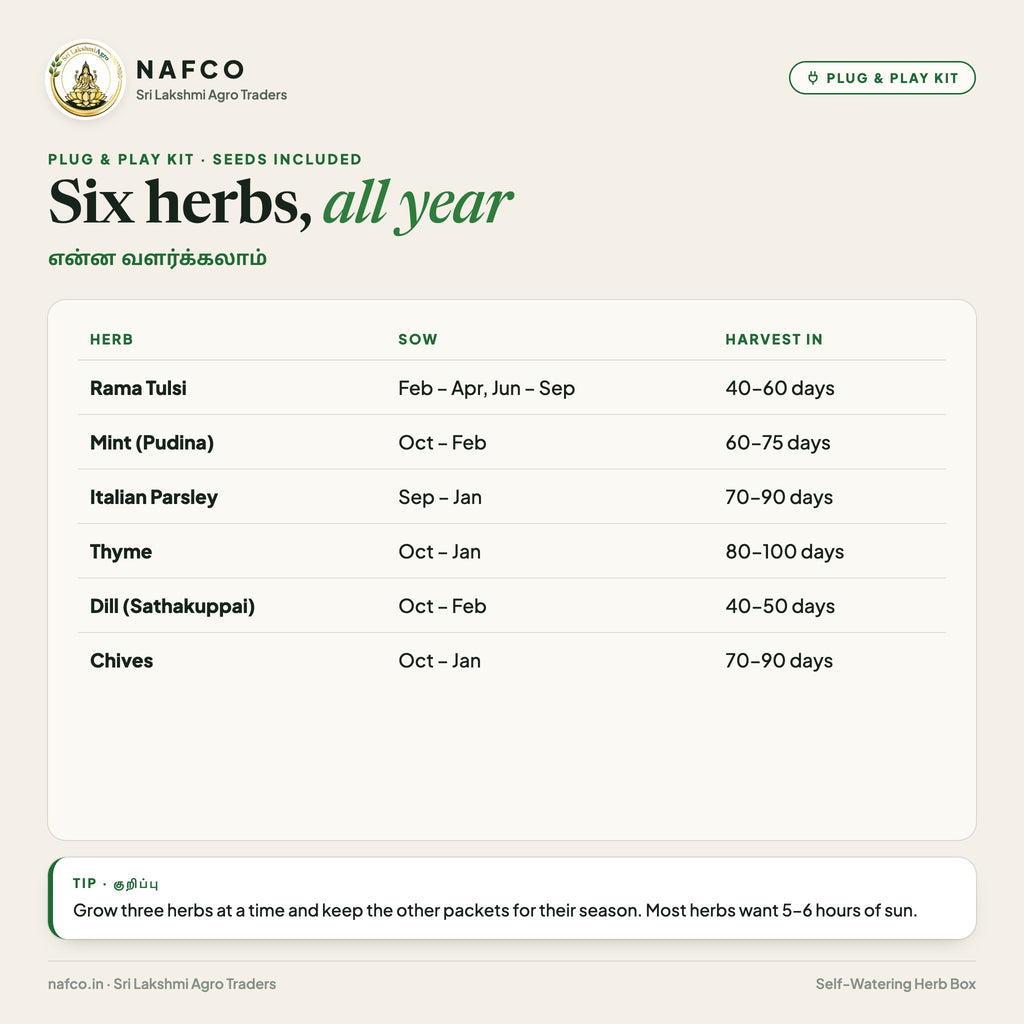 Plug & Play Self-Watering Herb Box – six herbs and when to sow them