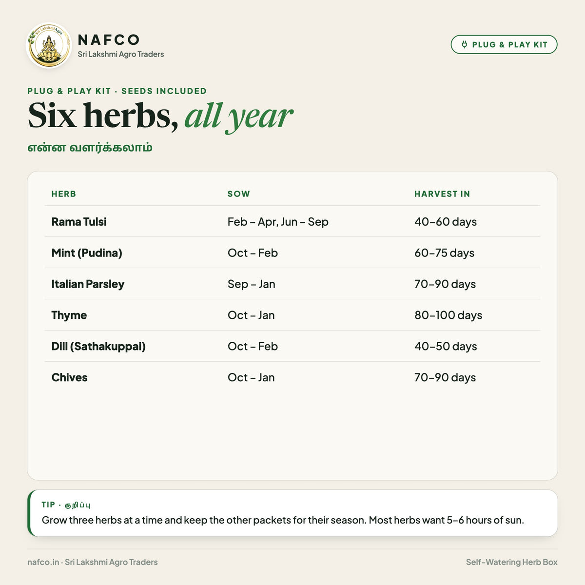 Plug & Play Self-Watering Herb Box – six herbs and when to sow them