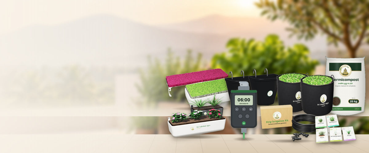 Plug & Play terrace kits – timer, drip kit, grow bags, wall pots and self-watering box