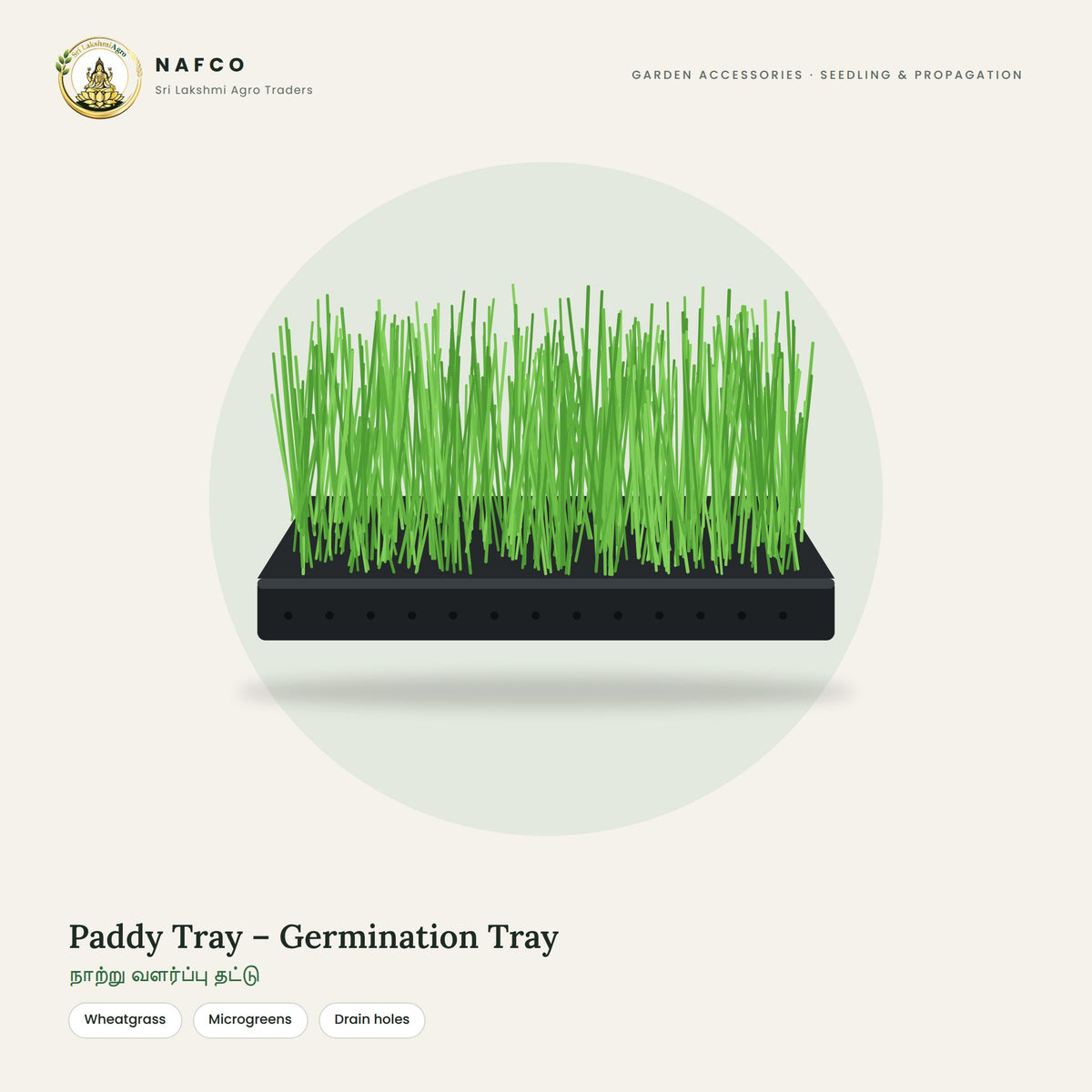 Paddy Tray – Germination Tray
