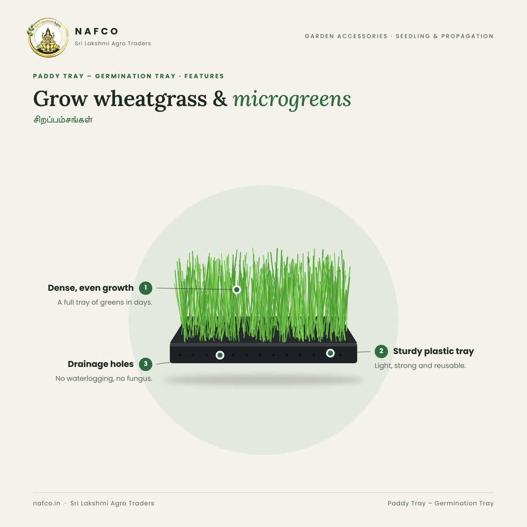 Paddy Tray – Germination Tray – features