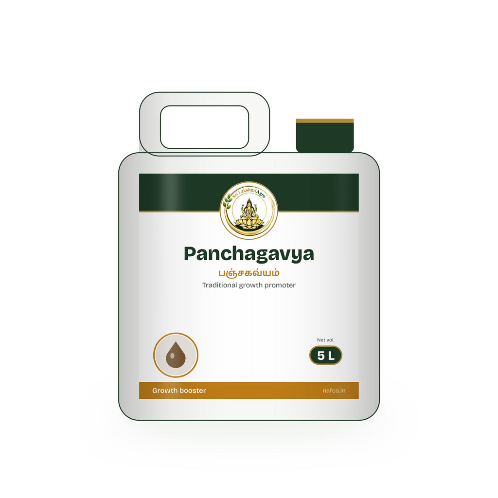 Panchagavya – 5 L in a Sri Lakshmi Agro jerry can