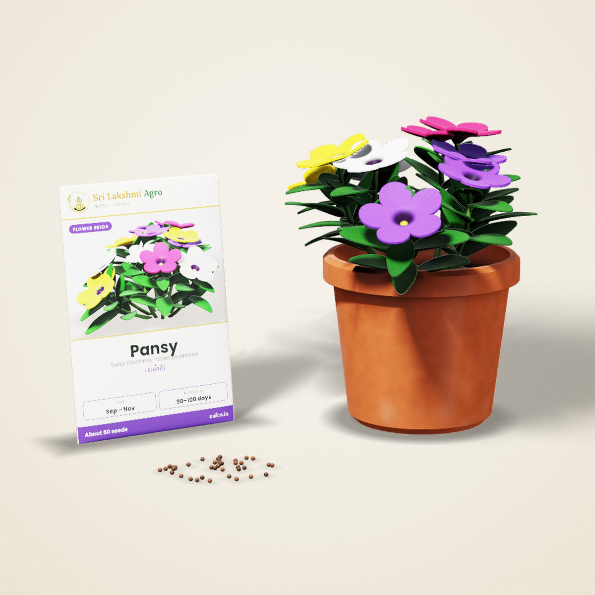 Pansy Seeds – Mixed Colours