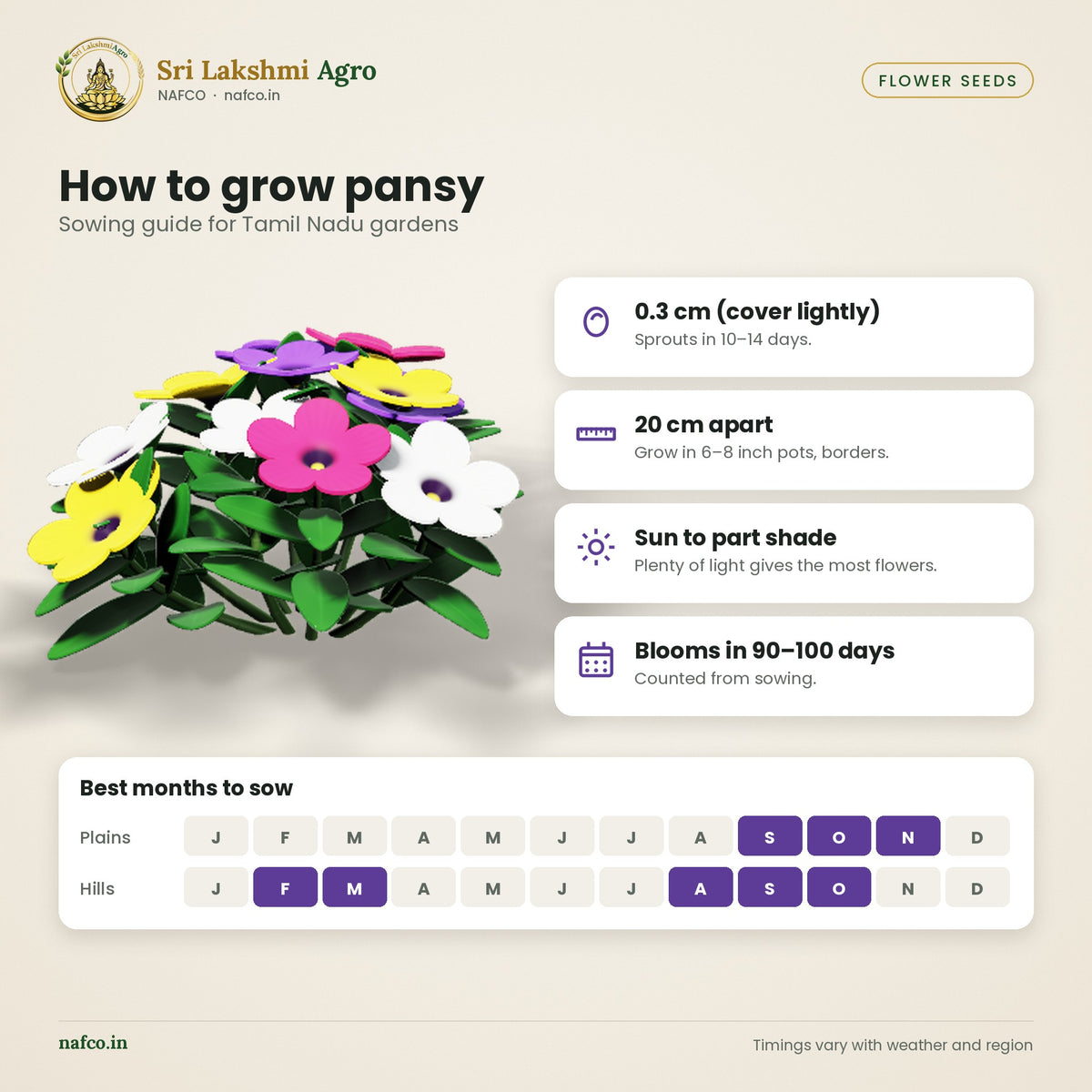 Pansy Seeds – Mixed Colours – sowing guide