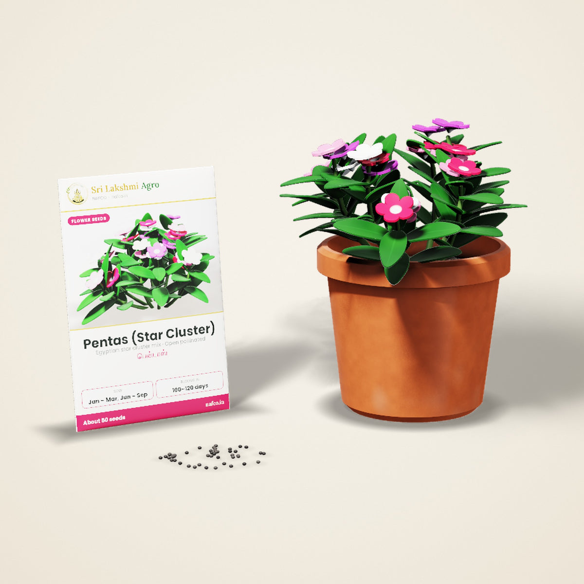 Pentas (Star Cluster) Seeds – Mixed Colours