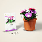 Petunia Seeds – Mixed Colours