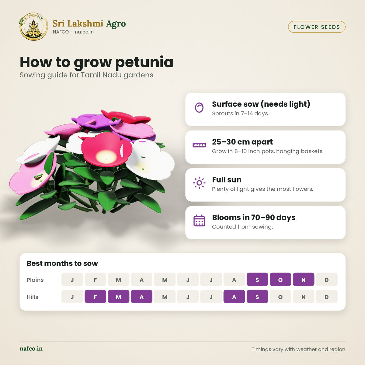 Petunia Seeds – Mixed Colours – sowing guide