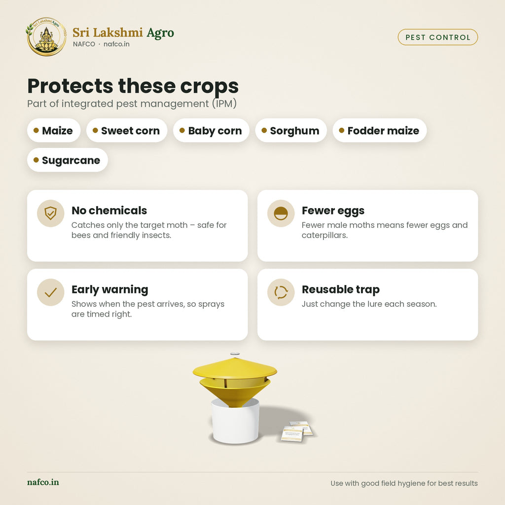 Pheromone Funnel Trap + Lure – Fall Armyworm (Maize) – crops
