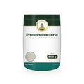 Phosphobacteria – 500 g in a Sri Lakshmi Agro stand-up pouch