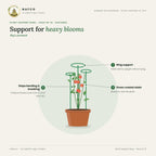 Plant Support Ring – Pack of 10 – features