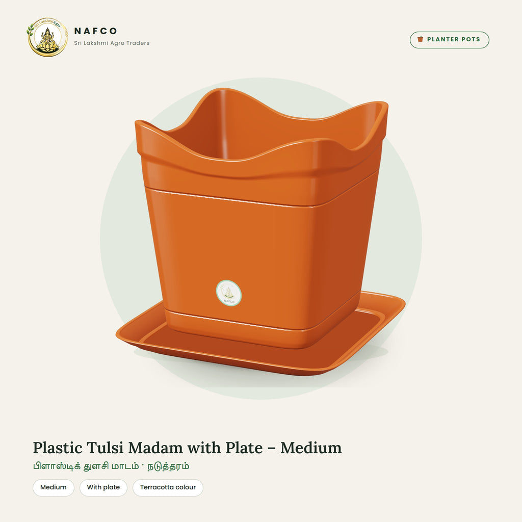 Plastic Tulsi Madam with Plate – Medium