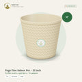 Pogo Pine Indoor Pot – 12 Inch