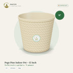 Pogo Pine Indoor Pot – 12 Inch