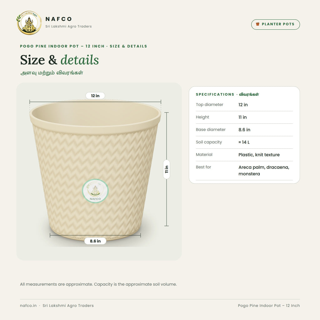 Pogo Pine Indoor Pot – 12 Inch – size and details